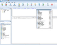 SQL Query Tool BSQL screenshot